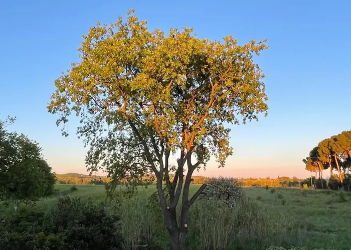 Lägenhet La Quercia *